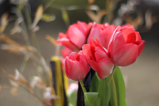 Boldog ÚJ Évet!🌷