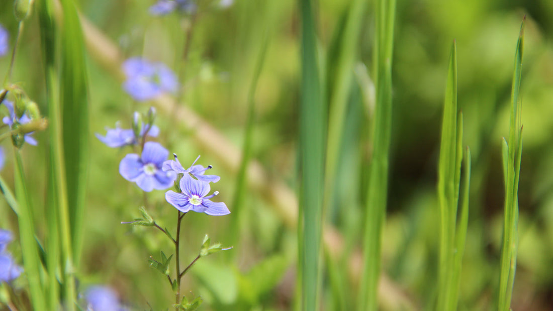 A női energia évszakai: a ciklus fényes oldala